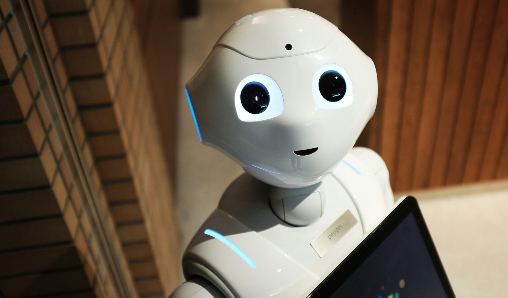 AI 导览机器人系统开发