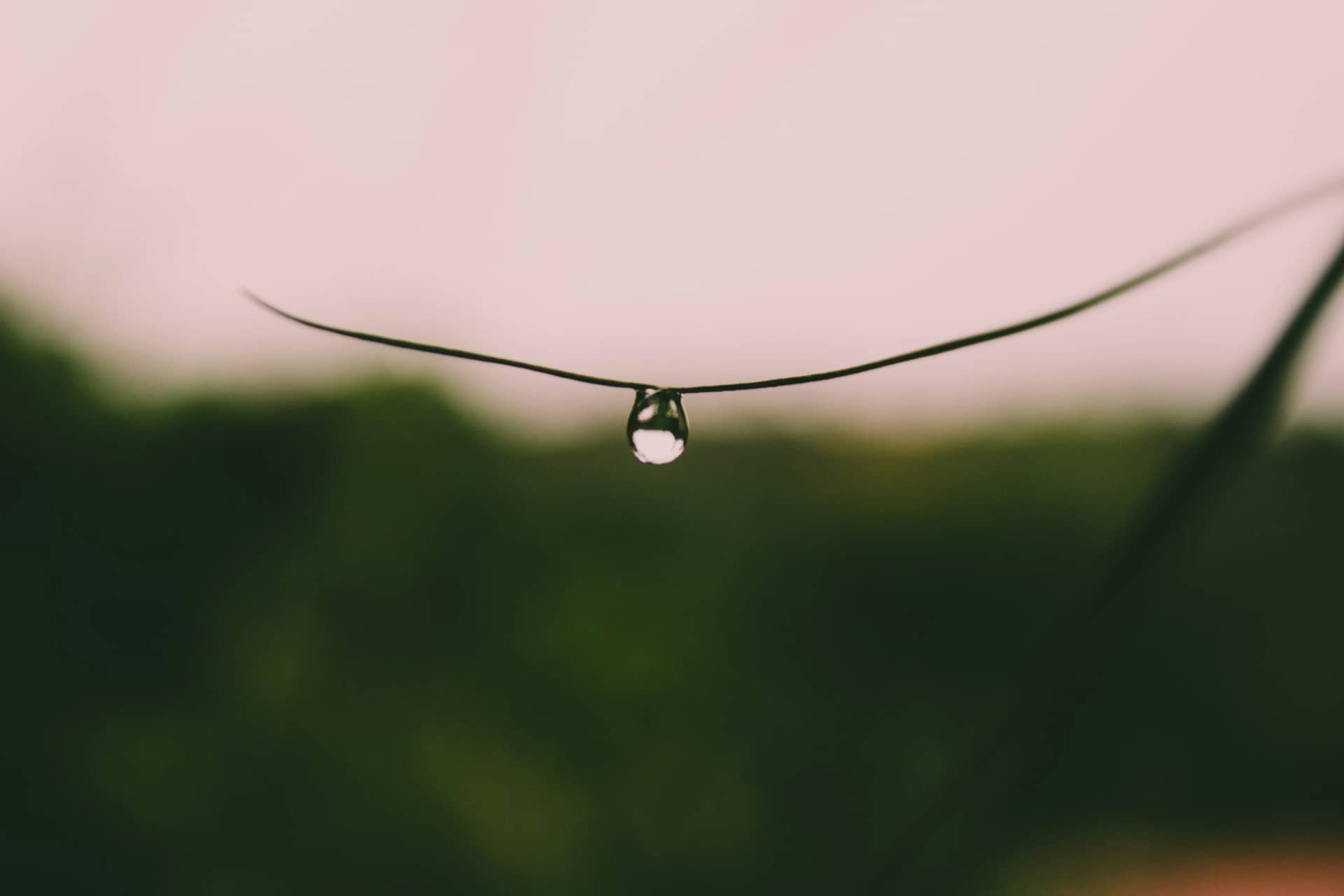 工业相机液滴形变受力分析系统研发